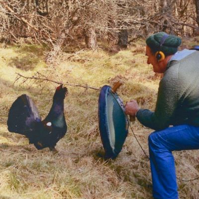 Shows - Wildlife Discotheque