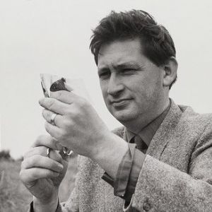 Wildlife Discotheque