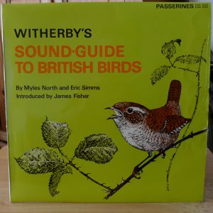 The Wildlife Discotheque Show