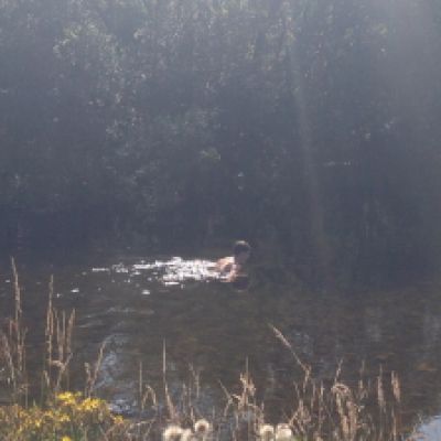 2020 - You would sound (...) much more convincing if you spoke as if you cared (...)